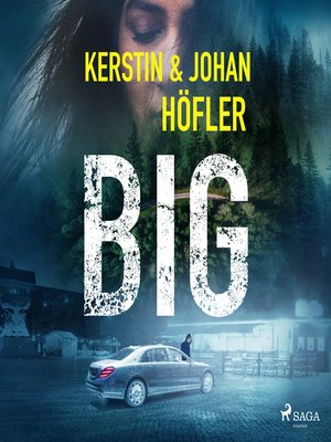 cover image of Big